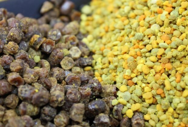 Bičių duonelė – tai vienas iš labiausiai vertinamų bičių produktų