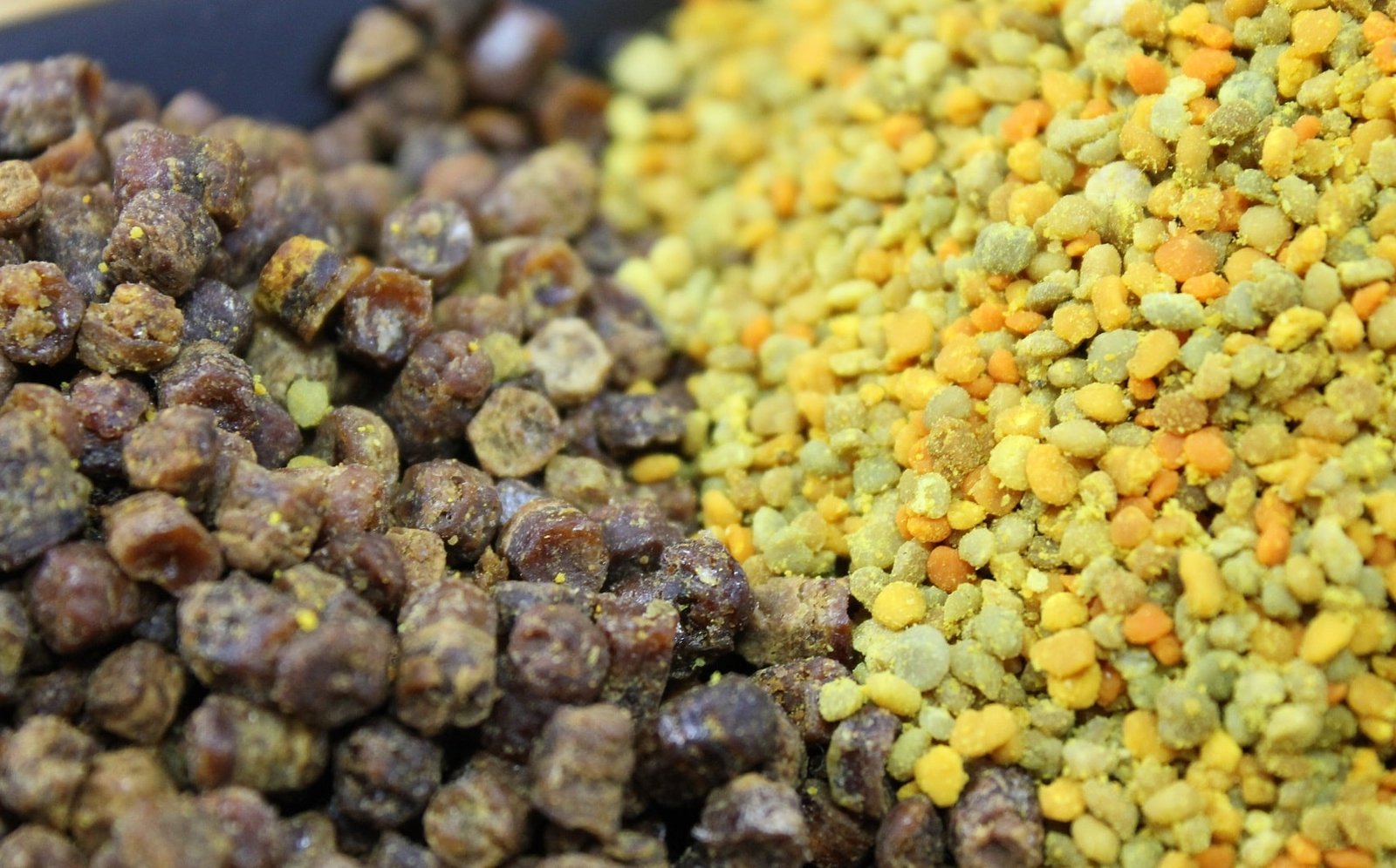 Bičių duonelė – tai vienas iš labiausiai vertinamų bičių produktų